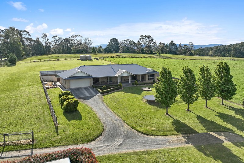 Photo - 100 Tarago Reservoir Road, Neerim South VIC 3831 - Image 3