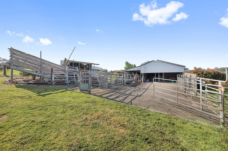 Photo - 100 Tarago Reservoir Road, Neerim South VIC 3831 - Image 28