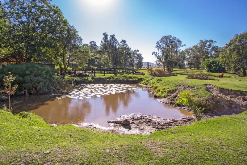 100 Wilman Road, Round Mountain NSW 2484 Real Estate Industry Partners