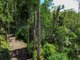 Photo - 100 Wongawallan Road, Tamborine Mountain QLD 4272 - Image 1