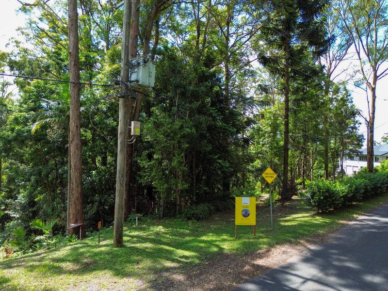 Photo - 100 Wongawallan Road, Tamborine Mountain QLD 4272 - Image 7