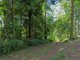 Photo - 100 Wongawallan Road, Tamborine Mountain QLD 4272 - Image 8