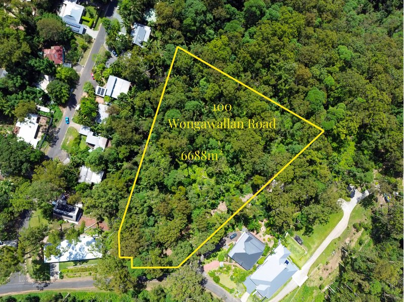 Photo - 100 Wongawallan Road, Tamborine Mountain QLD 4272 - Image 10