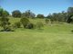 Photo - 1000 Bulga Road, Wingham NSW 2429 - Image 16