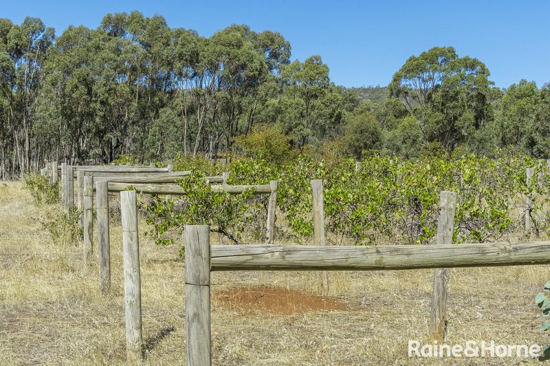 Photo - 1000 Northern Highway, Ladys Pass VIC 3523 - Image 2