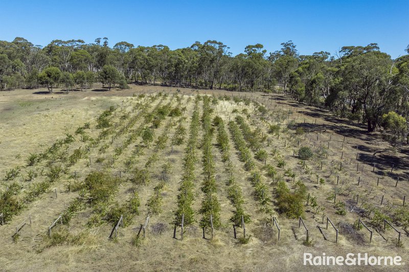 Photo - 1000 Northern Highway, Ladys Pass VIC 3523 - Image 3
