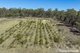 Photo - 1000 Northern Highway, Ladys Pass VIC 3523 - Image 3