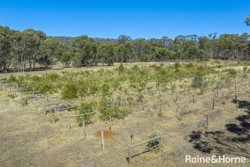 Photo - 1000 Northern Highway, Ladys Pass VIC 3523 - Image 4