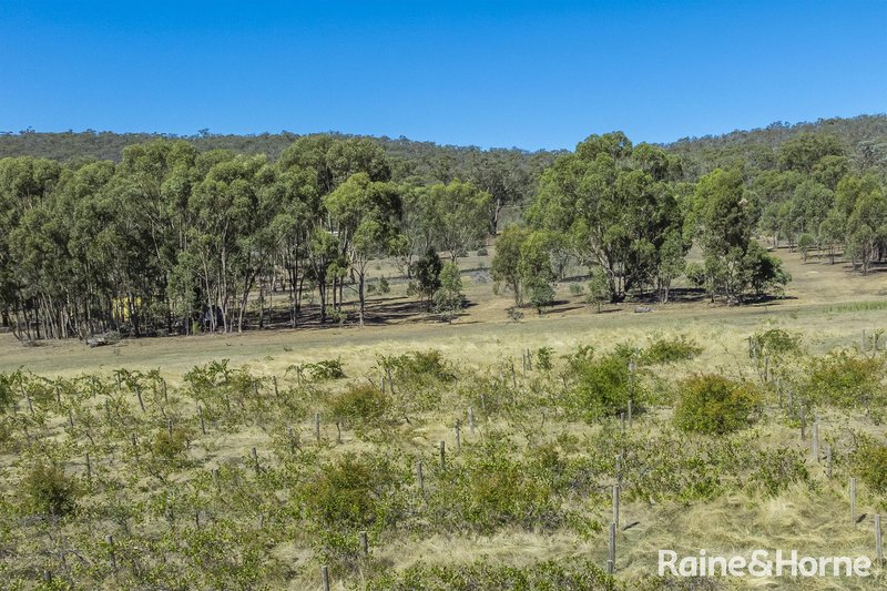 Photo - 1000 Northern Highway, Ladys Pass VIC 3523 - Image 14