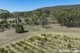 Photo - 1000 Northern Highway, Ladys Pass VIC 3523 - Image 15