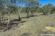 Photo - 1000 Northern Highway, Ladys Pass VIC 3523 - Image 17