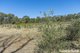 Photo - 1000 Northern Highway, Ladys Pass VIC 3523 - Image 28