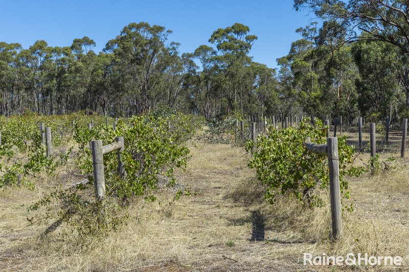 Photo - 1000 Northern Highway, Ladys Pass VIC 3523 - Image 29