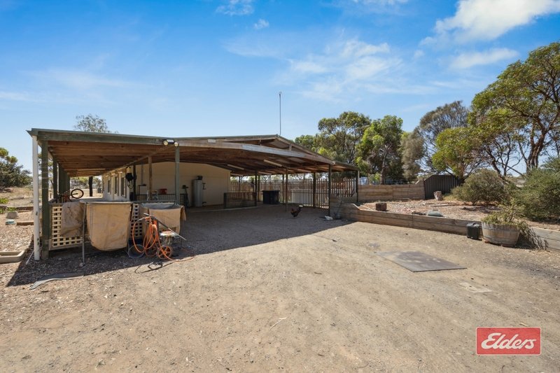 Photo - 1002 Redbanks Road, Kangaroo Flat SA 5118 - Image 20