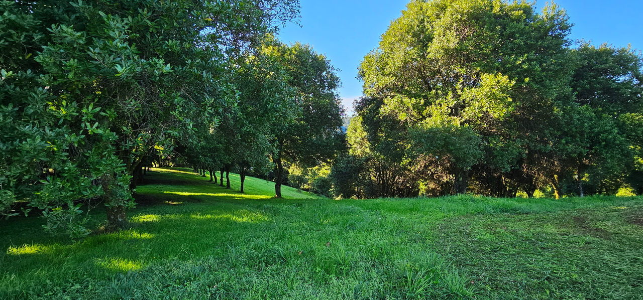 1-bedroom unit at 1005 Tuntable Creek Road, Nimbin, NSW 2480, Lismore, New South Wales