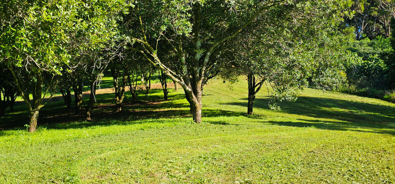 1-bedroom unit at 1005 Tuntable Creek Road, Nimbin, NSW 2480, Lismore, New South Wales