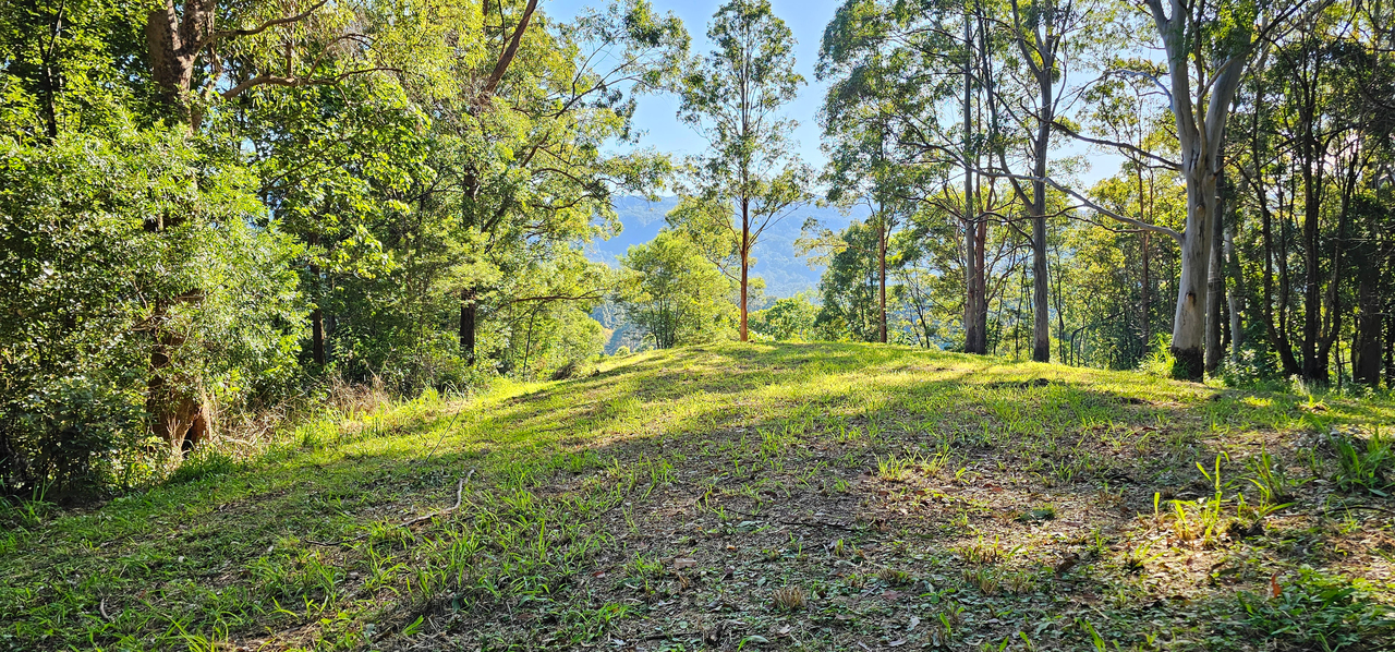 1-bedroom unit at 1005 Tuntable Creek Road, Nimbin, NSW 2480, Lismore, New South Wales