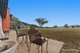 Photo - 1007 Barnbrook Road, Werris Creek NSW 2341 - Image 7