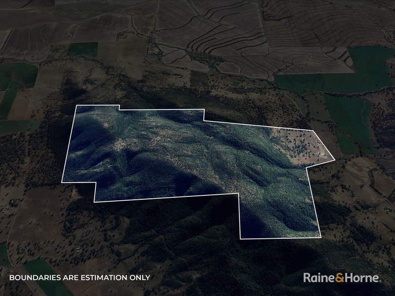 Photo - 1007 Barnbrook Road, Werris Creek NSW 2341 - Image 10