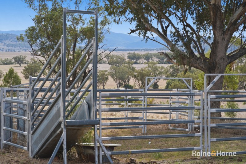 Photo - 1007 Barnbrook Road, Werris Creek NSW 2341 - Image 12