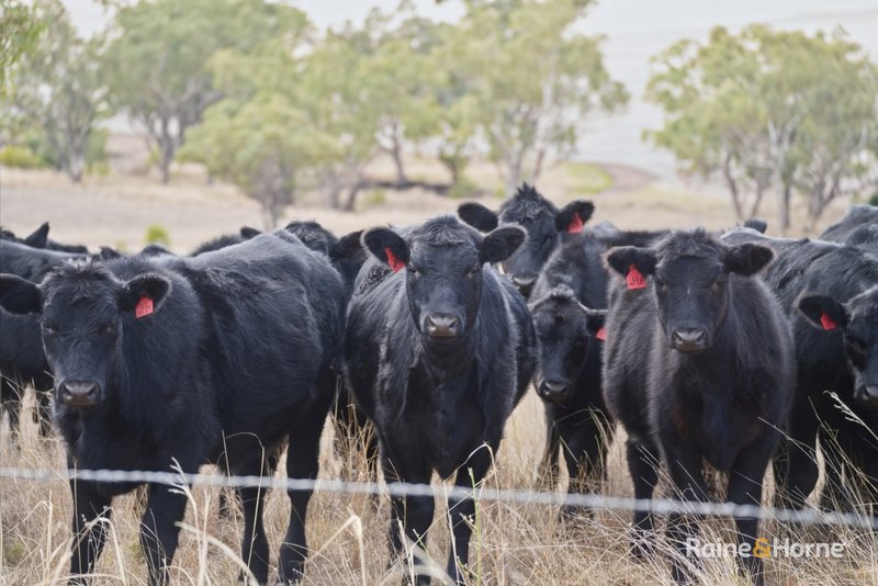 Photo - 1007 Barnbrook Road, Werris Creek NSW 2341 - Image 13