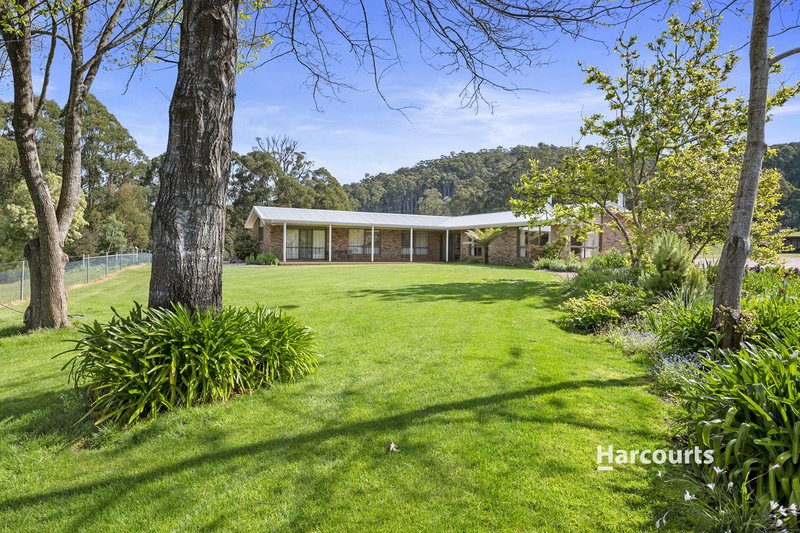 1008 Wilmot Road, Kindred TAS 7310