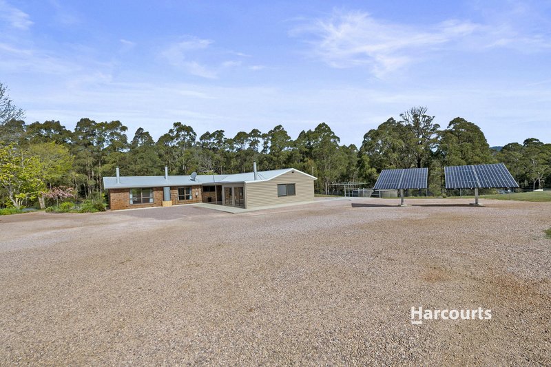 Photo - 1008 Wilmot Road, Kindred TAS 7310 - Image 4