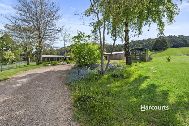 Photo - 1008 Wilmot Road, Kindred TAS 7310 - Image 18