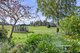 Photo - 1008 Wilmot Road, Kindred TAS 7310 - Image 24