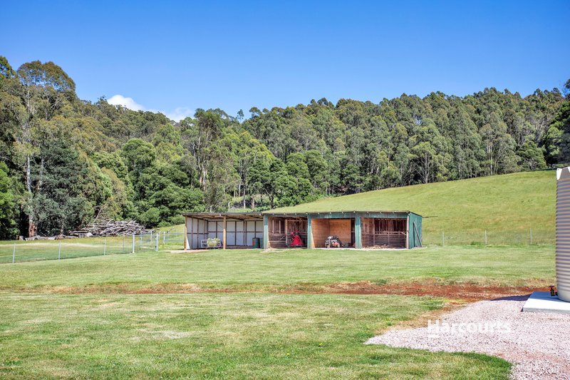 Photo - 1008 Wilmot Road, Kindred TAS 7310 - Image 26