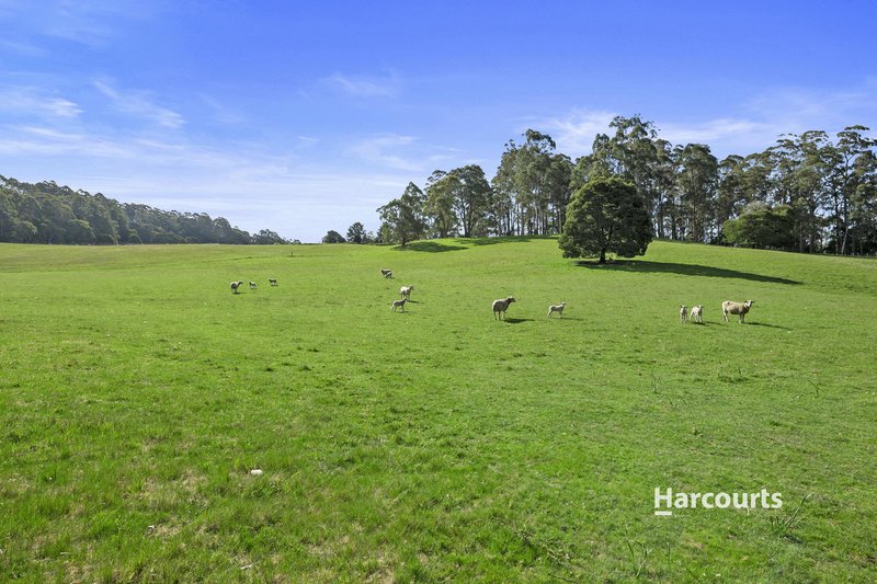 Photo - 1008 Wilmot Road, Kindred TAS 7310 - Image 28