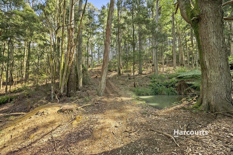 Photo - 1008 Wilmot Road, Kindred TAS 7310 - Image 30