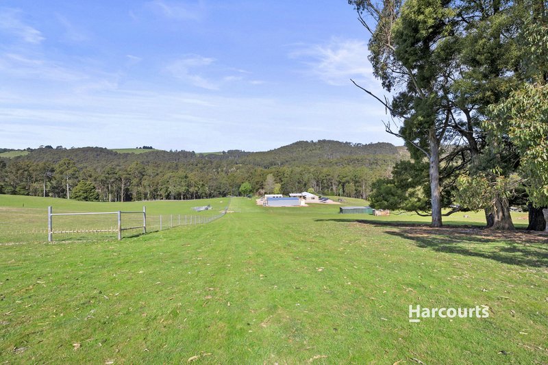 Photo - 1008 Wilmot Road, Kindred TAS 7310 - Image 33