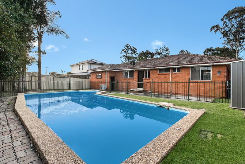 Photo - 101 Birdwood Road, Georges Hall NSW 2198 - Image 6