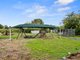 Photo - 101 Boden Road, Wamuran QLD 4512 - Image 17