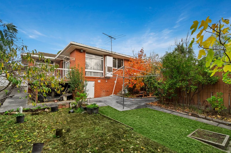 Photo - 101 Burwood Highway, Burwood East VIC 3151 - Image 8