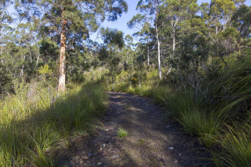 Photo - 101 Devlyns Road, Birchs Bay TAS 7162 - Image 15