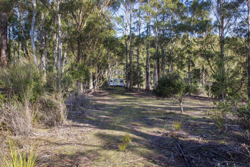 Photo - 101 Devlyns Road, Birchs Bay TAS 7162 - Image 17