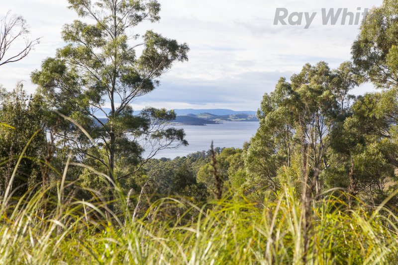 Photo - 101 Devlyns Road, Birchs Bay TAS 7162 - Image 20