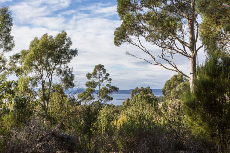 Photo - 101 Devlyns Road, Birchs Bay TAS 7162 - Image 21