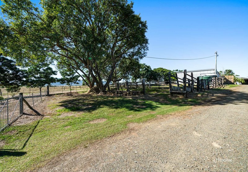 Photo - 101 Ostrofskis Road, Mount Beppo QLD 4313 - Image 19