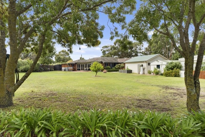 Photo - 101 Sandy Creek Road, Riddells Creek VIC 3431 - Image 3