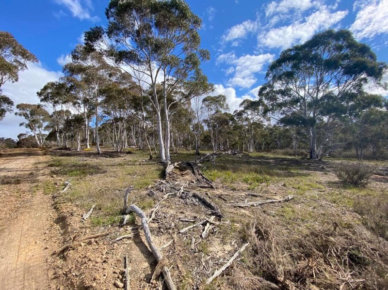 Photo - 101 Spa Road, Windellama NSW 2580 - Image 3