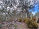 Photo - 101 Spa Road, Windellama NSW 2580 - Image 5