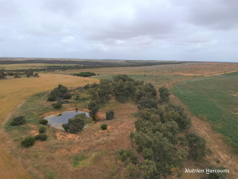 Photo - 101 West Binnu Road, West Binnu WA 6532 - Image 3