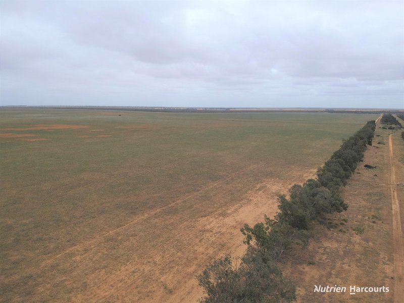 Photo - 101 West Binnu Road, West Binnu WA 6532 - Image 9