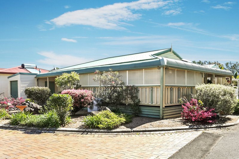 Photo - 101 Willow Tree Ave , Kanahooka NSW 2530 - Image 10