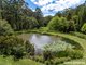 Photo - 1010 Kangaroo Valley Road, Bellawongarah NSW 2535 - Image 27