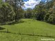 Photo - 1010 Kangaroo Valley Road, Bellawongarah NSW 2535 - Image 33