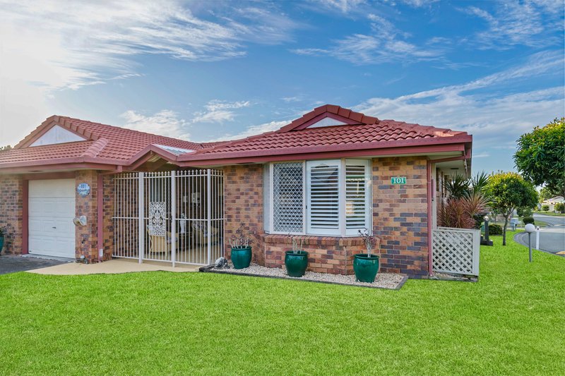 101/19 Arwen Street, Maroochydore QLD 4558